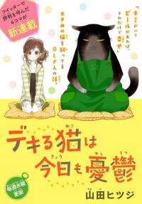 The Masterful Cat is Depressed Again Today