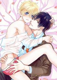 Does the Carpet Match the Drapes?