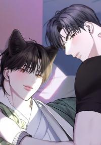 Sun Behind the Shadows