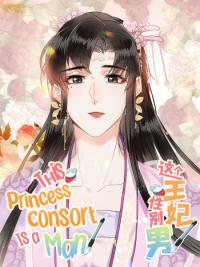 This Princess Consort Is a Man This Princess Consort Is a Man