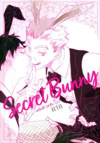 Secret Bunny Secret Bunny