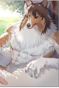 The New Shepherd Dog