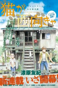 Cats are facing west