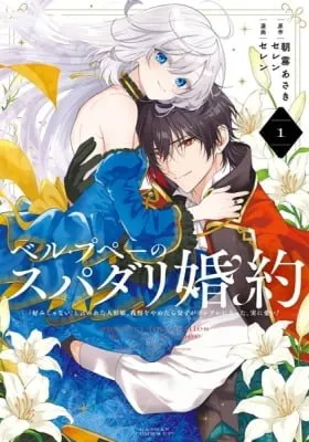 THE PRINCESS GROOM