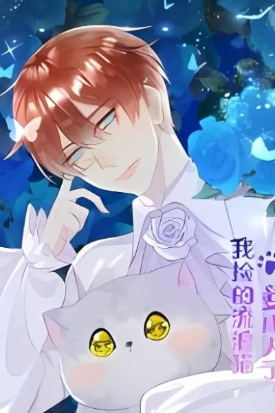 The stray cat I picked up turned into a human?